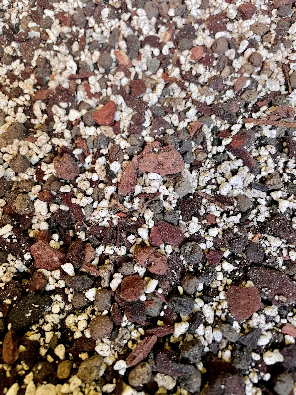 Toad Mix in Nahaufnahme: Perlit, Pinienrinde, Lava und Pflanzenkohle